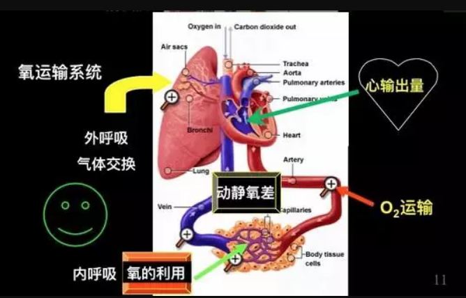 新澳门2024免费资料大全集