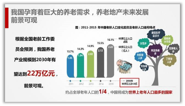 新澳门2024免费资料大全集