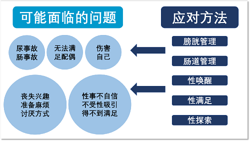 新澳门2024免费资料大全集